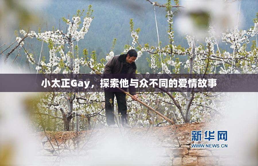 小太正Gay，探索他与众不同的爱情故事