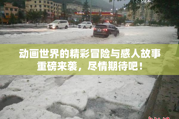 动画世界的精彩冒险与感人故事重磅来袭，尽情期待吧！