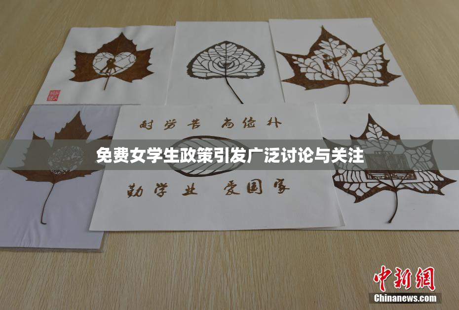 免费女学生政策引发广泛讨论与关注