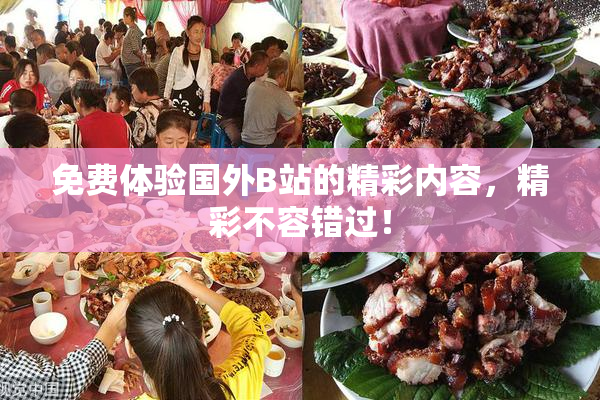 免费体验国外B站的精彩内容，精彩不容错过！