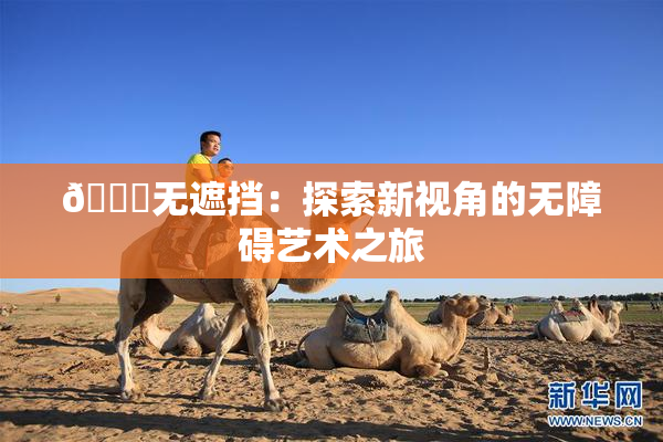 🔞无遮挡：探索新视角的无障碍艺术之旅