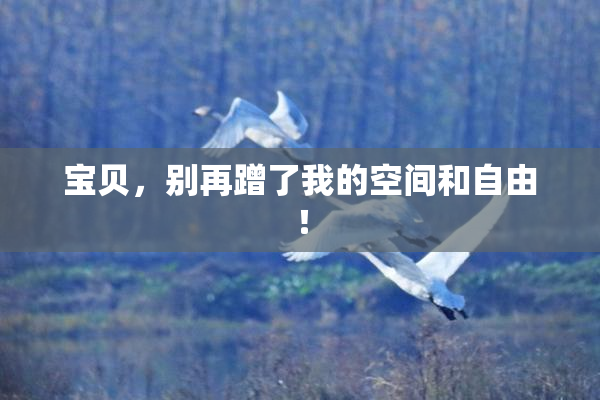 宝贝，别再蹭了我的空间和自由！