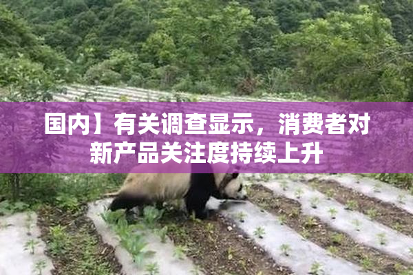国内】有关调查显示，消费者对新产品关注度持续上升