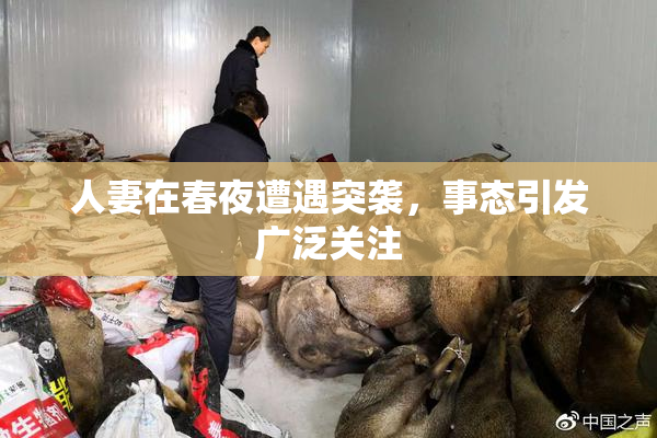 人妻在春夜遭遇突袭，事态引发广泛关注