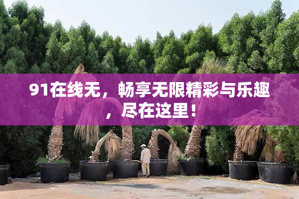 91在线无，畅享无限精彩与乐趣，尽在这里！