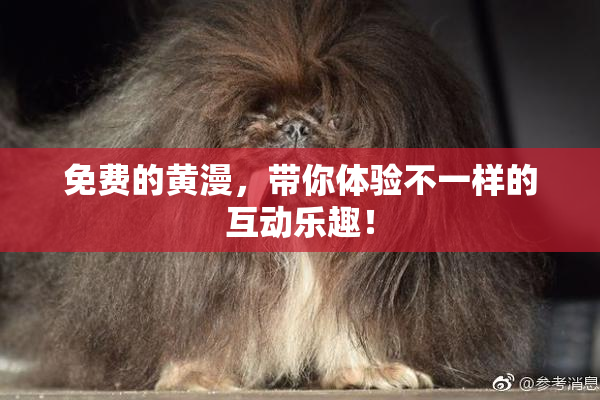 免费的黄漫，带你体验不一样的互动乐趣！