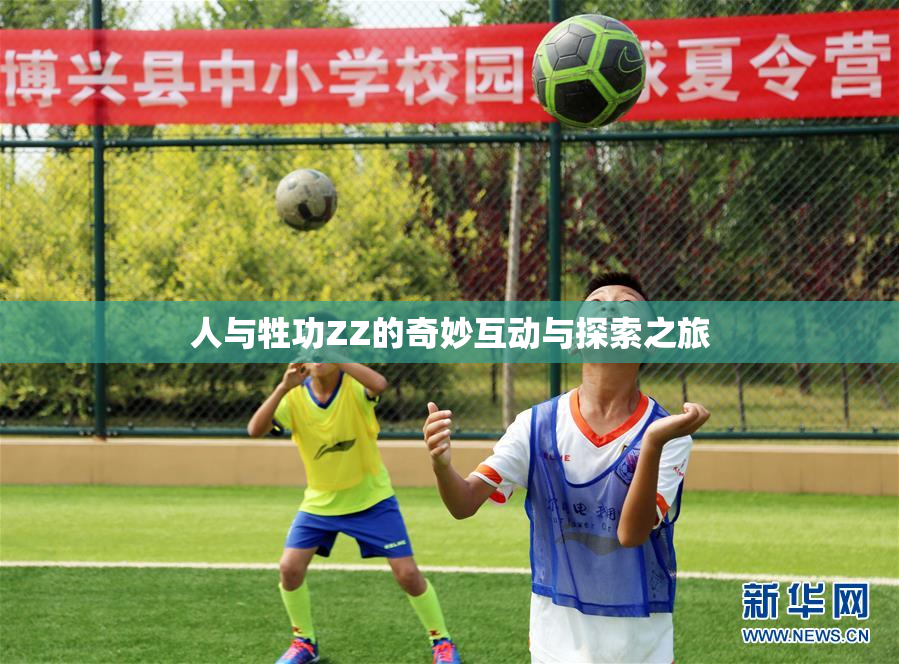 人与牲功ZZ的奇妙互动与探索之旅
