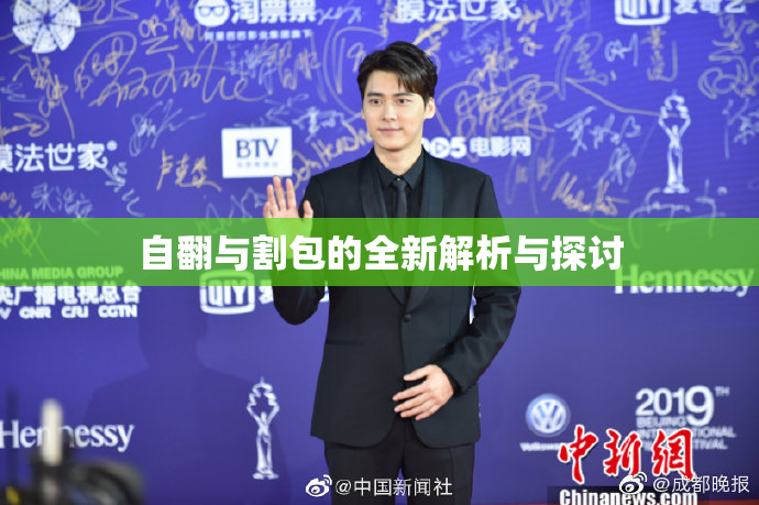 自翻与割包的全新解析与探讨