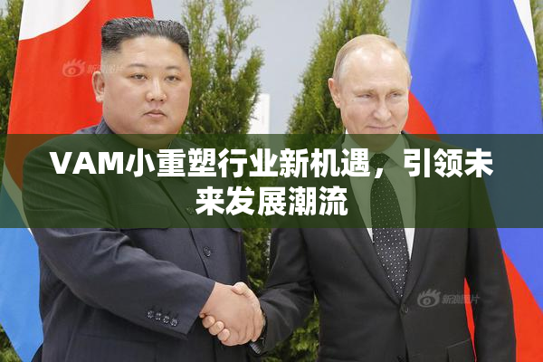VAM小重塑行业新机遇，引领未来发展潮流