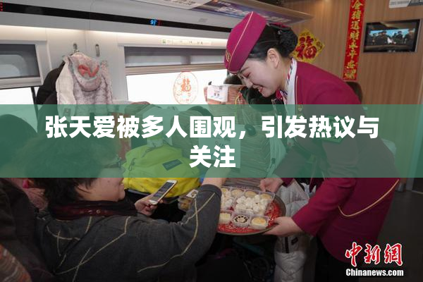 张天爱被多人围观，引发热议与关注