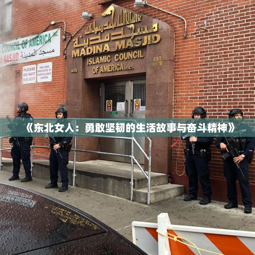 《东北女人：勇敢坚韧的生活故事与奋斗精神》