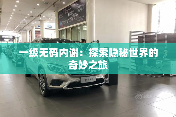 一级无码内谢：探索隐秘世界的奇妙之旅