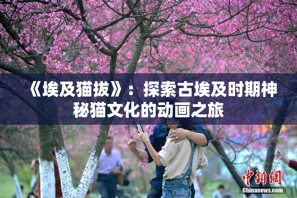 《埃及猫拔》：探索古埃及时期神秘猫文化的动画之旅