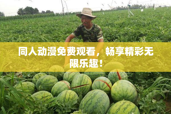 同人动漫免费观看，畅享精彩无限乐趣！