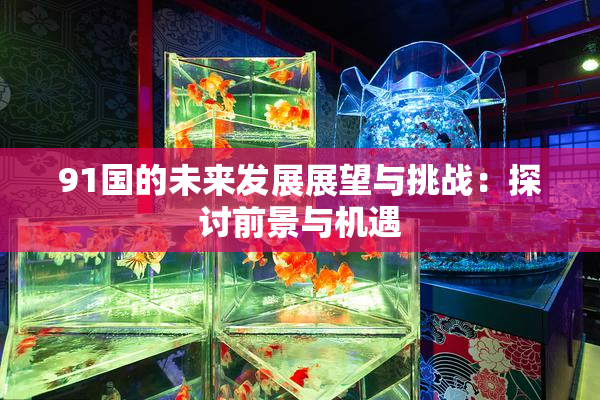 91国的未来发展展望与挑战：探讨前景与机遇