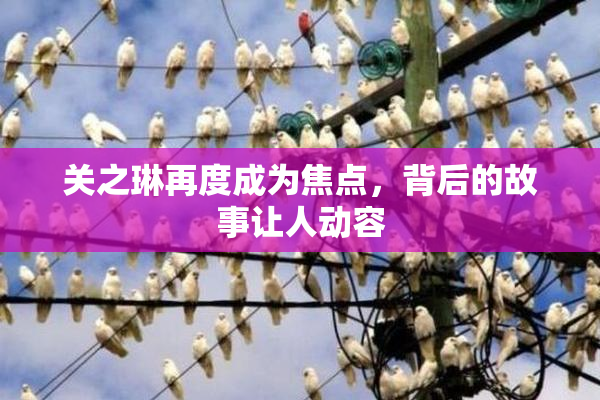 关之琳再度成为焦点，背后的故事让人动容