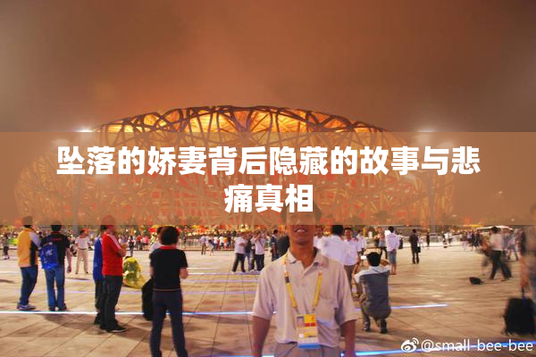 坠落的娇妻背后隐藏的故事与悲痛真相