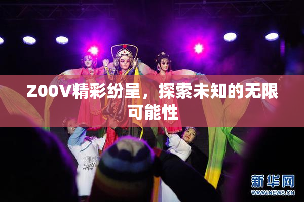 Z00V精彩纷呈，探索未知的无限可能性
