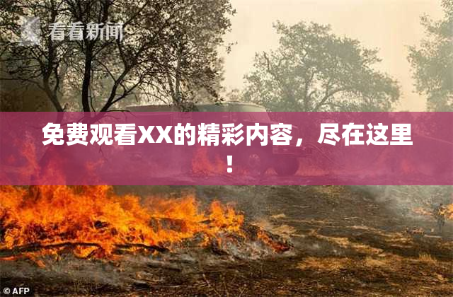 免费观看XX的精彩内容，尽在这里！