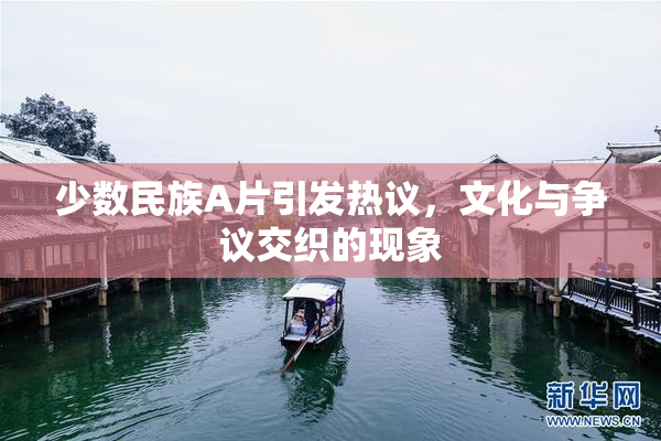 少数民族A片引发热议，文化与争议交织的现象