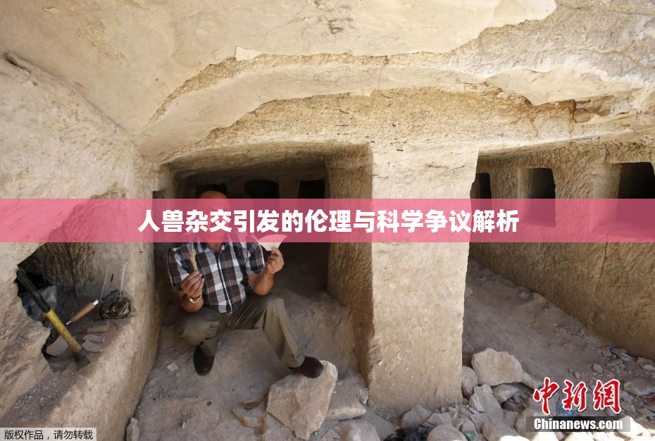 人兽杂交引发的伦理与科学争议解析
