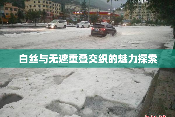 白丝与无遮重叠交织的魅力探索