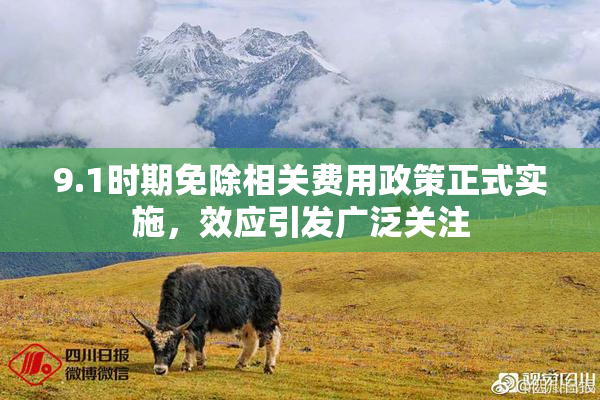 9.1时期免除相关费用政策正式实施，效应引发广泛关注