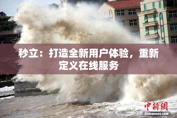 秒立：打造全新用户体验，重新定义在线服务