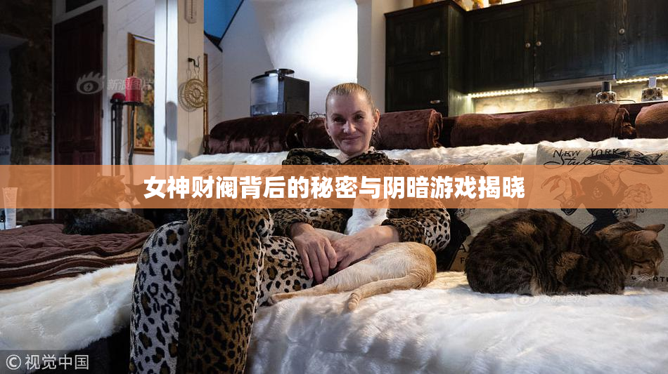 女神财阀背后的秘密与阴暗游戏揭晓