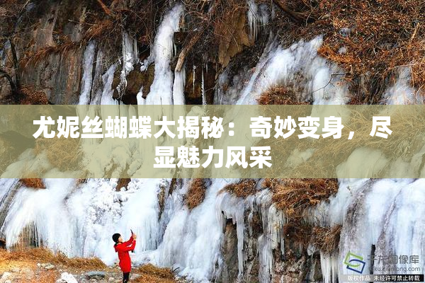 尤妮丝蝴蝶大揭秘：奇妙变身，尽显魅力风采