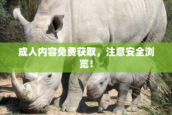 成人内容免费获取，注意安全浏览！