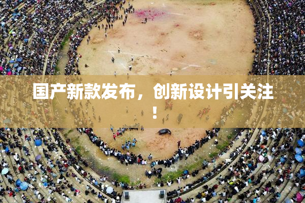 国产新款发布，创新设计引关注！