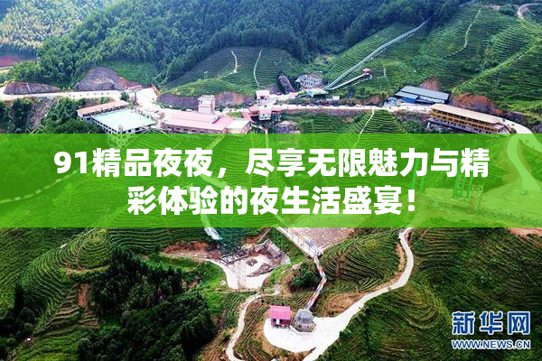 91精品夜夜，尽享无限魅力与精彩体验的夜生活盛宴！