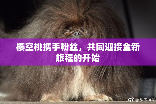 樱空桃携手粉丝，共同迎接全新旅程的开始