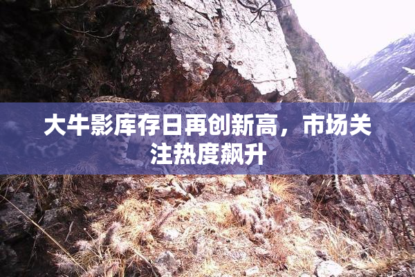 大牛影库存日再创新高，市场关注热度飙升