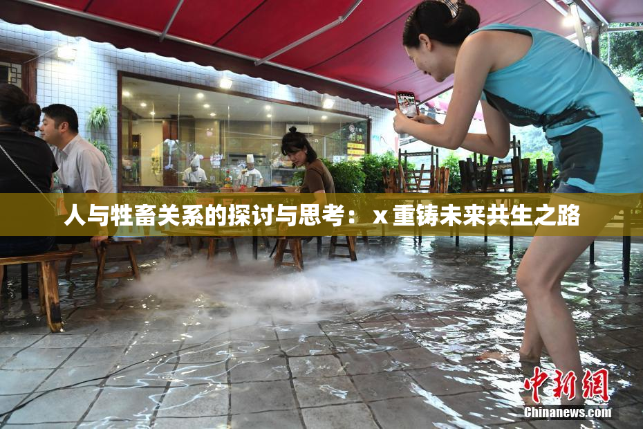 人与牲畜关系的探讨与思考：ⅹ重铸未来共生之路