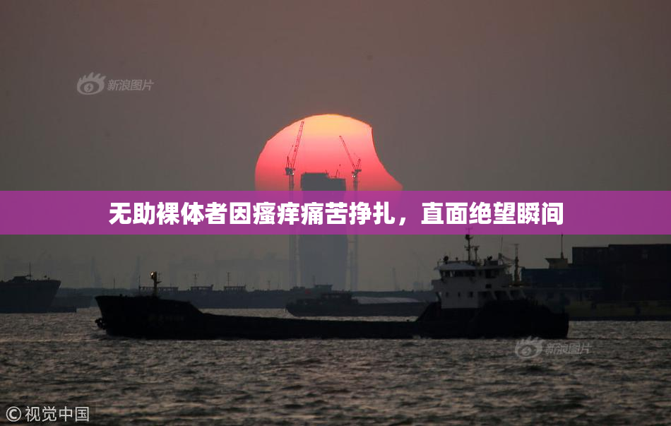 无助裸体者因瘙痒痛苦挣扎，直面绝望瞬间