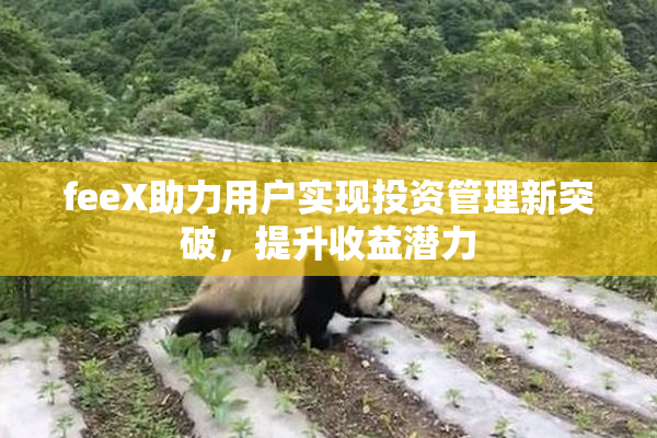 feeX助力用户实现投资管理新突破，提升收益潜力