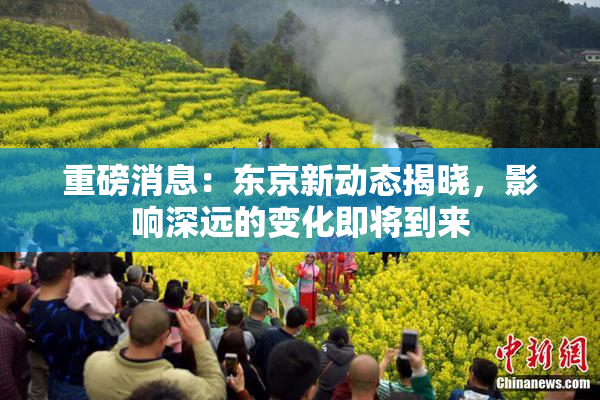 重磅消息：东京新动态揭晓，影响深远的变化即将到来