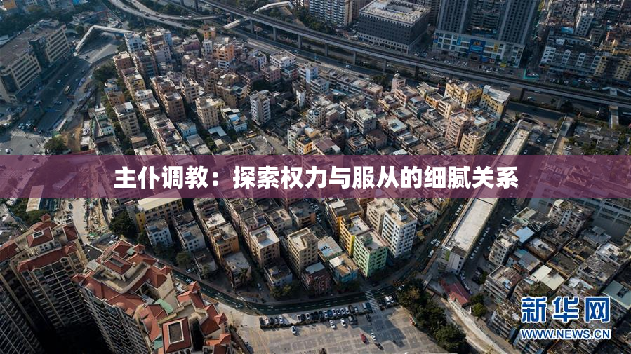 主仆调教：探索权力与服从的细腻关系