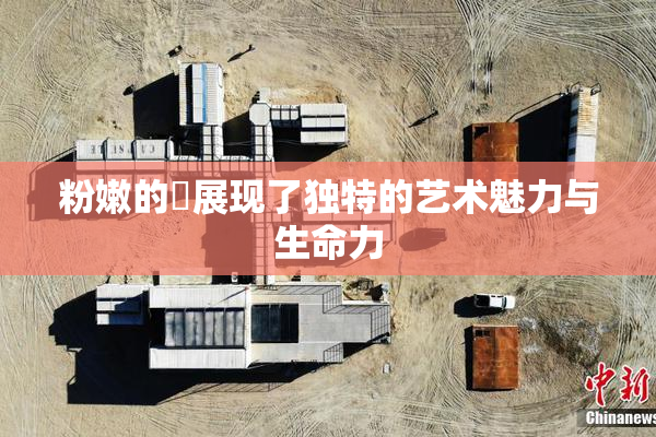 粉嫩的泬展现了独特的艺术魅力与生命力