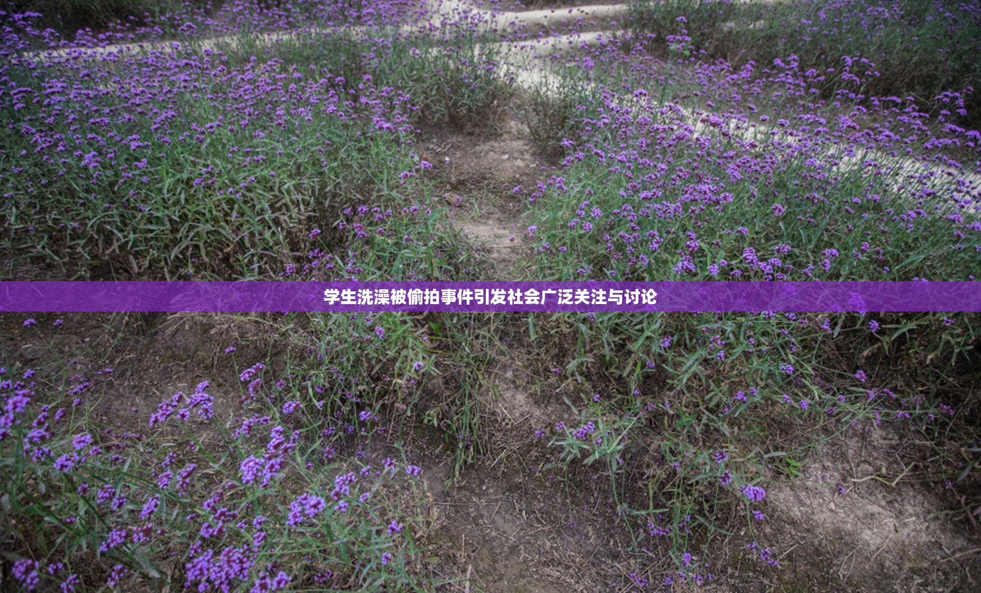 学生洗澡被偷拍事件引发社会广泛关注与讨论