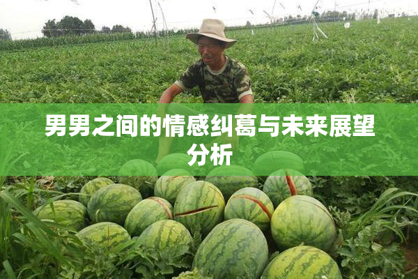 男男之间的情感纠葛与未来展望分析