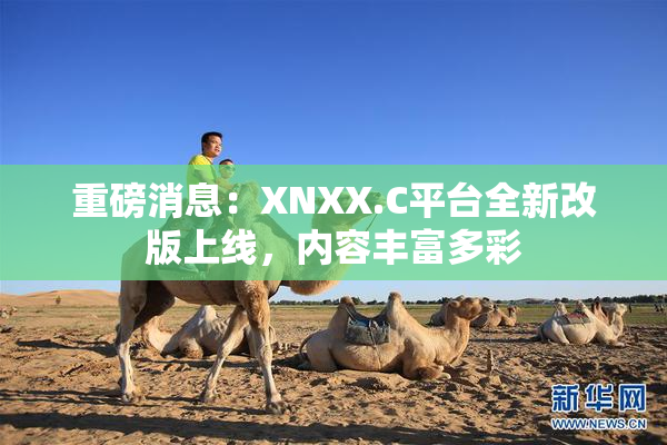 重磅消息：XNXX.C平台全新改版上线，内容丰富多彩