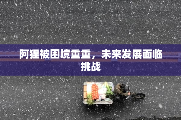 阿狸被困境重重，未来发展面临挑战