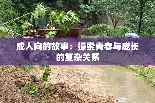 成人向的故事：探索青春与成长的复杂关系