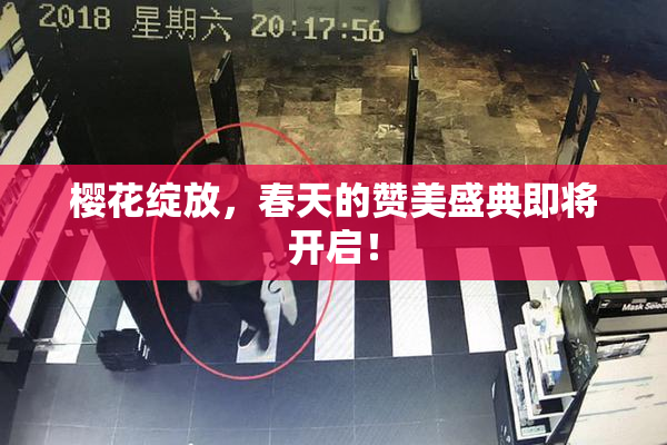 樱花绽放，春天的赞美盛典即将开启！