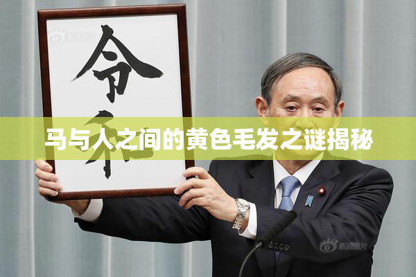 马与人之间的黄色毛发之谜揭秘