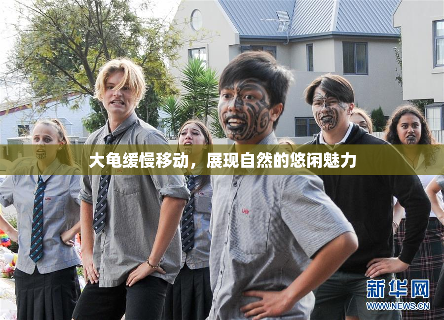 大龟缓慢移动，展现自然的悠闲魅力