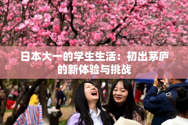 日本大一的学生生活：初出茅庐的新体验与挑战